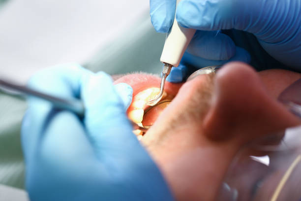 Best Pediatric Emergency Dentist in Roundup, MT