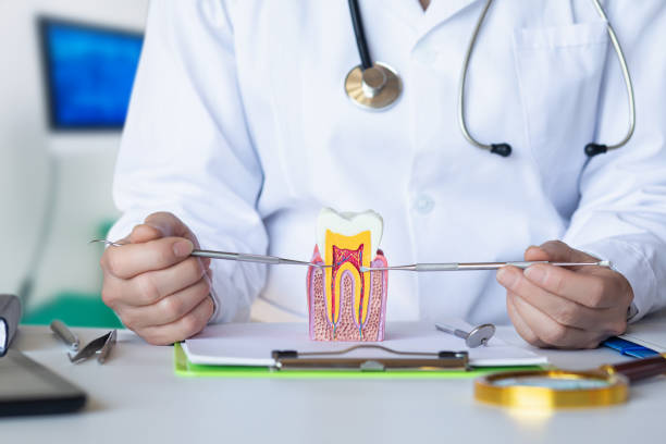 Best Emergency Treatment for Toothache in Roundup, MT